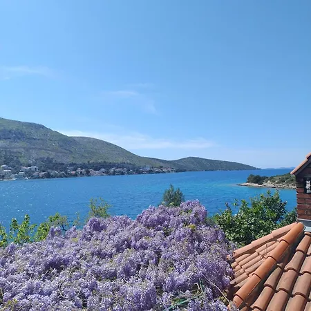 Direkt Na Moru - 公寓 *